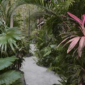 hotel-boutique-terranova.tulum-hotels.net/
